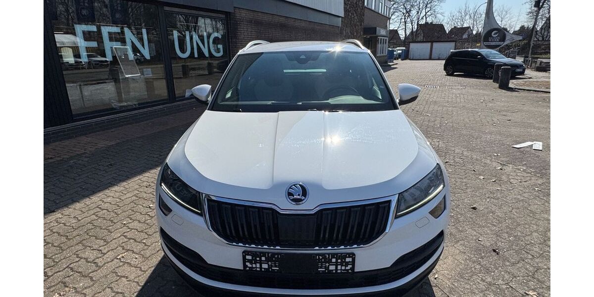 Skoda Karoq 160.000 km 13.900 &euro; Winsen (Luhe) 21423