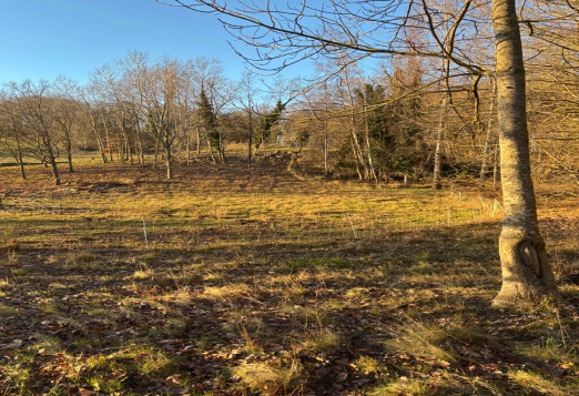 Grundstück Göhren - 199.000&euro; | Angebot:25815811
