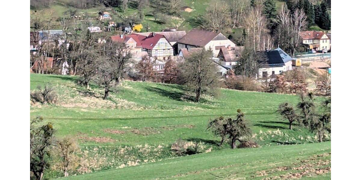 Grundstück Eisenberg Kursdorf - 99.495&euro; | Angebot:24157404