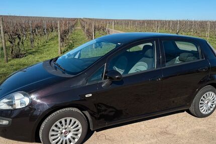 Fiat Punto Evo 57.031 km 4.249 &euro; Gau-Odernheim 55239