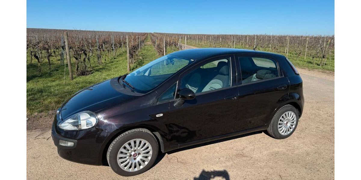 Fiat Punto Evo 57.031 km 4.249 &euro; Gau-Odernheim 55239