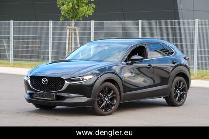 Mazda CX-3 13.833 km 24.590 &euro; Jettingen 71131