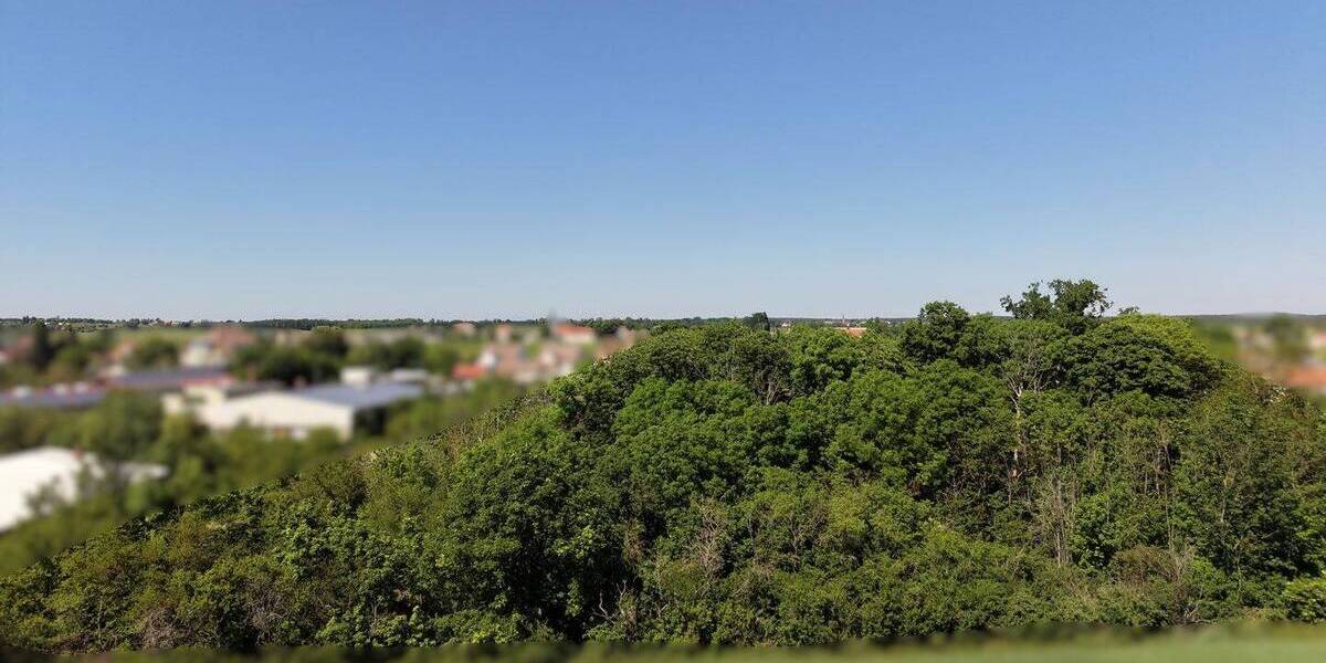 Grundstück Strehla - 89.000&euro; | Angebot:26713893