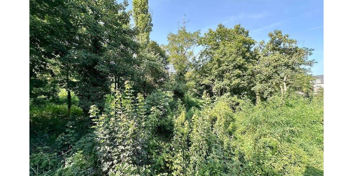 *Individuelle Rarität in ruhiger und grüner Bestlage vom Preußischen Viertel* 6 zimmer