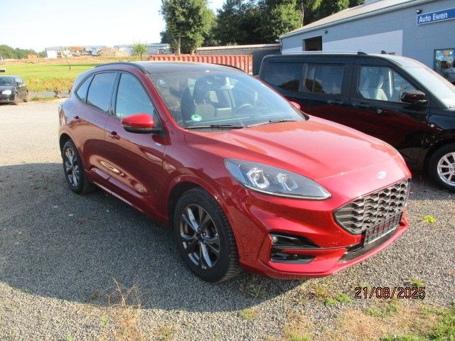 Kuga