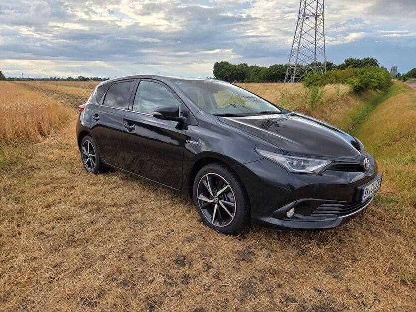 Auris