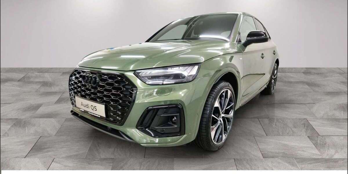 Audi Q5 25.000 km 58.350 &euro; Borna 04552