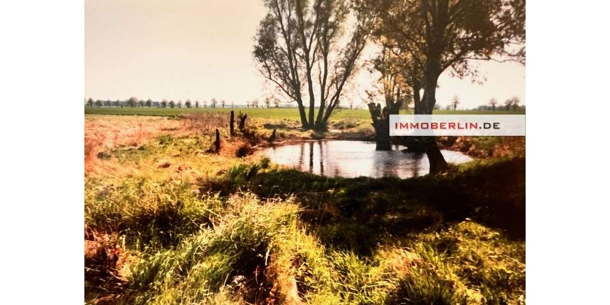 Grundstück Marlow - 25.000&euro; | Angebot:25453197