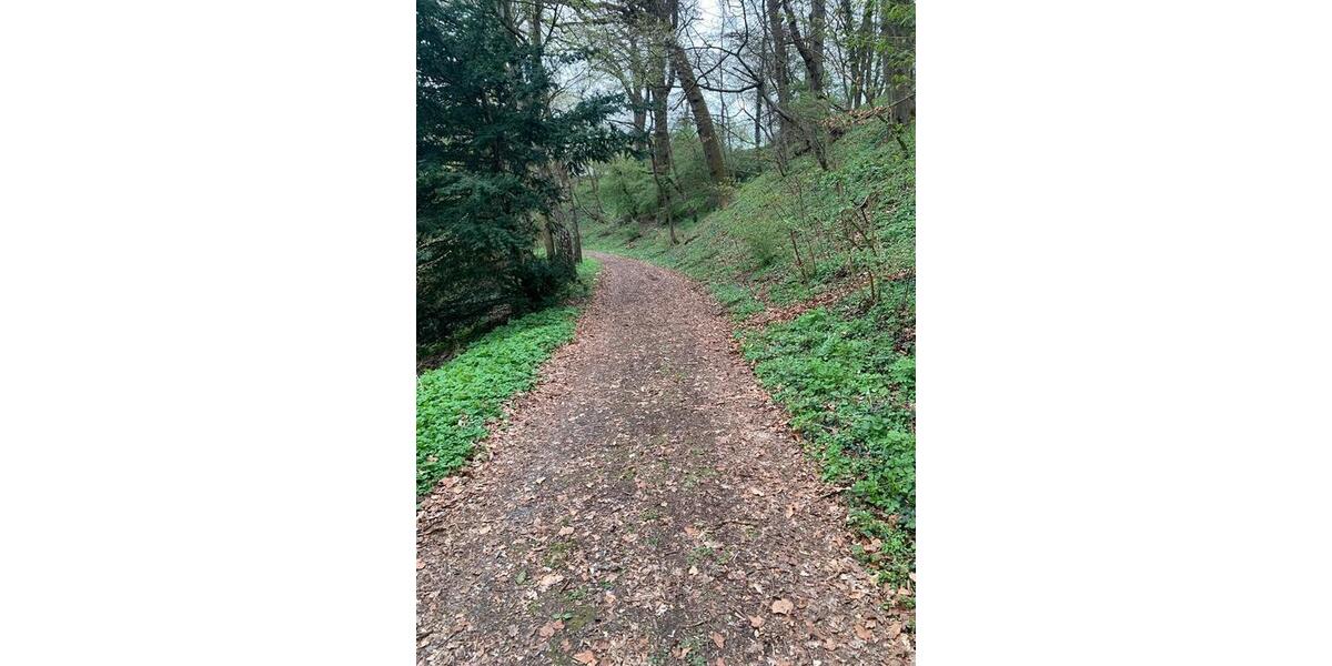 Grundstück Runkel - 30.000&euro; | Angebot:26133688