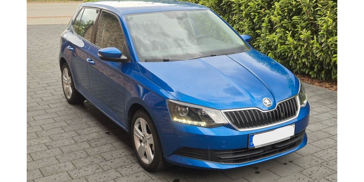 Skoda Fabia 87.000 km 8.490 &euro; Eicklingen 29358