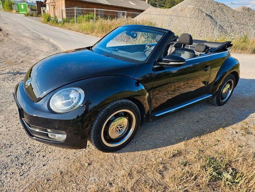 Beetle