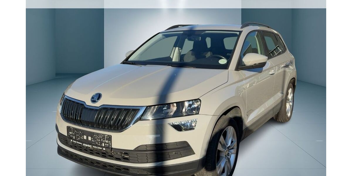 Skoda Karoq 89.980 km 19.450 &euro; Jessen 06917