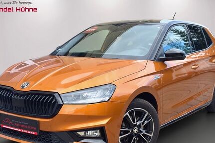 Skoda Fabia 31.046 km 20.920 &euro; Döbeln 04720