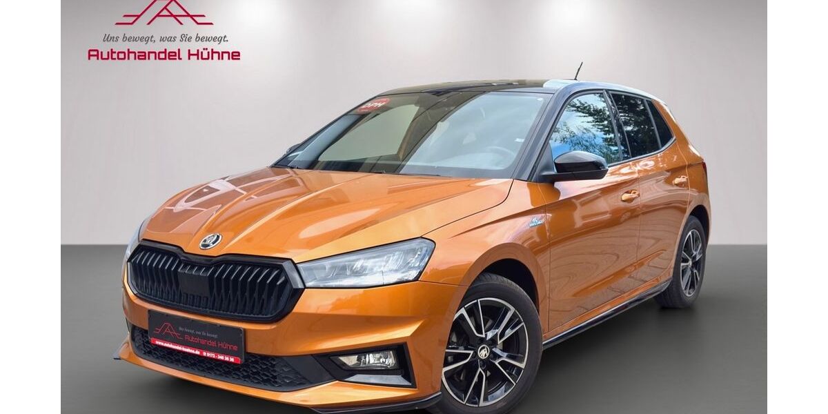 Skoda Fabia 31.046 km 20.920 &euro; Döbeln 04720