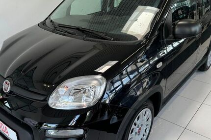 Fiat Panda 2.000 km 12.480 &euro; Königswinter-Thomasberg 53639