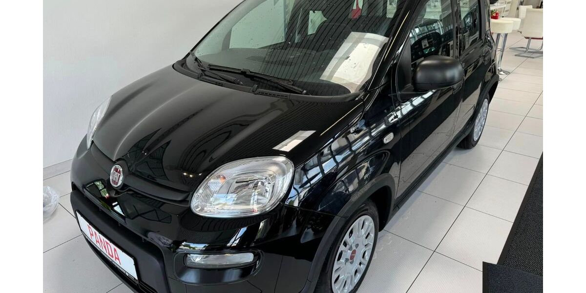 Fiat Panda 2.000 km 12.480 &euro; Königswinter-Thomasberg 53639