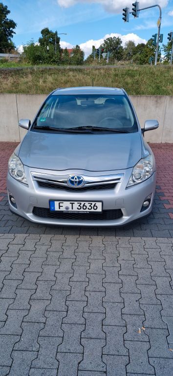 Auris