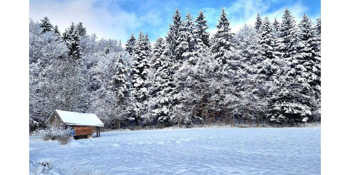 Einfamilienhaus Kirchberg im Wald / Raindorf Kirchberg - 1 Zimmer, 300 m&sup2;, 698.500&euro; | Angebot:25796770