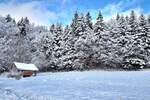 Einfamilienhaus Kirchberg im Wald / Raindorf Kirchberg - 1 Zimmer, 300 m&sup2;, 698.500&euro; | Angebot:25796770