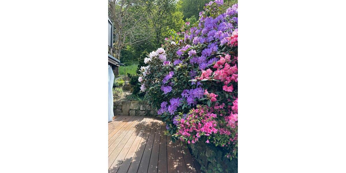 Einfamilienhaus Sankt Ingbert - 499.000&euro; | Angebot:27023555