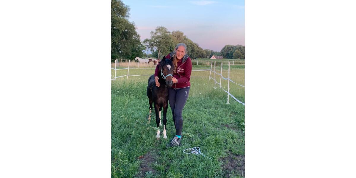 Grundstück Ganderkesee - 100&euro; | Angebot:22182933