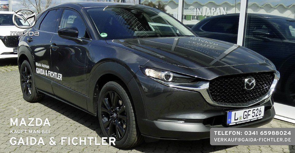 CX-30
