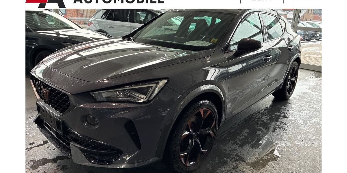 Cupra Formentor 58.686 km 26.946 &euro; Bocholt 46395