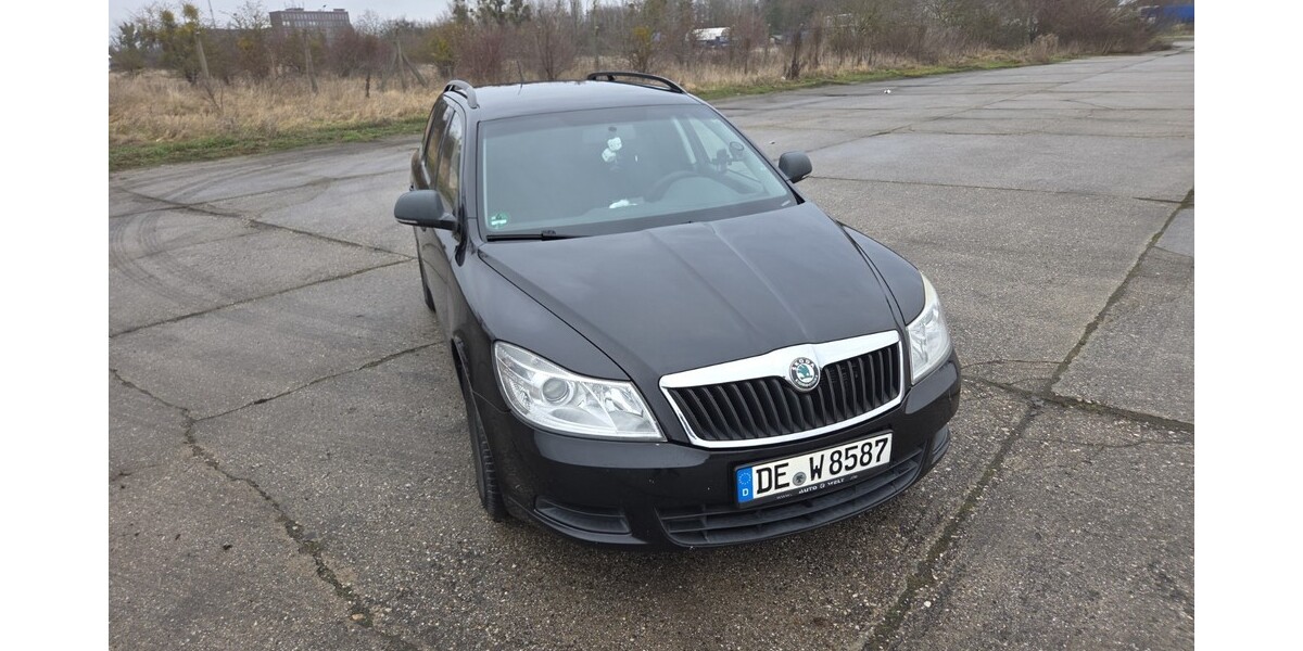 Skoda Octavia Combi 250.000 km 3.000 &euro; Dessau-Roßlau 06844