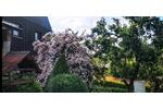 Einfamilienhaus Mittweida - 6 Zimmer, 100 m&sup2;, 1.040&euro; | Angebot:26234107