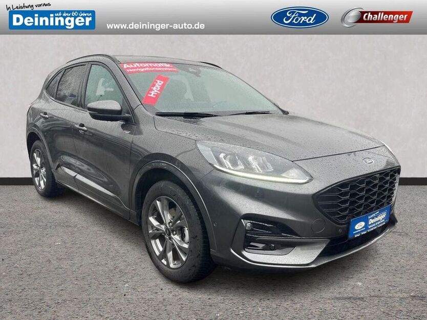 Kuga