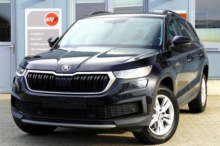 Skoda Kodiaq 175.823 km 20.989 &euro; werlte 49757