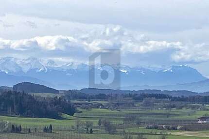 Grundstück Grünkraut - 395.000&euro; | Angebot:26966934