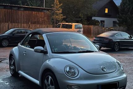 VW Beetle