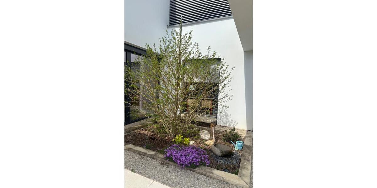 Einfamilienhaus Hohentengen am Hochrhein - 4.5 Zimmer, 155 m&sup2;, 2.150&euro; | Angebot:26287823