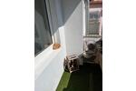 Etagenwohnung Pirmasens Niedersimten - 2 Zimmer, 55 m&sup2;, 490&euro; | Angebot:26607257