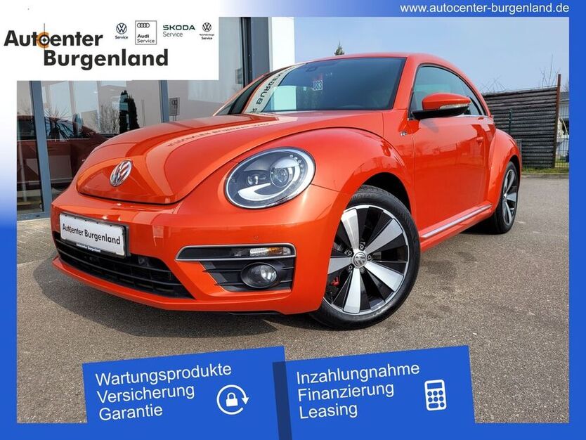 Beetle