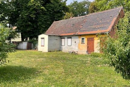 Haus Osternienburger Land - 5 Zimmer, 120 m&sup2;, 39.600&euro; | Angebot:27417766
