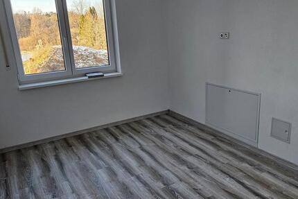 Modernes Single-Apartment teilmöbliert in Eschenbach 1 zimmer