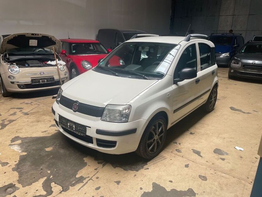 Panda
