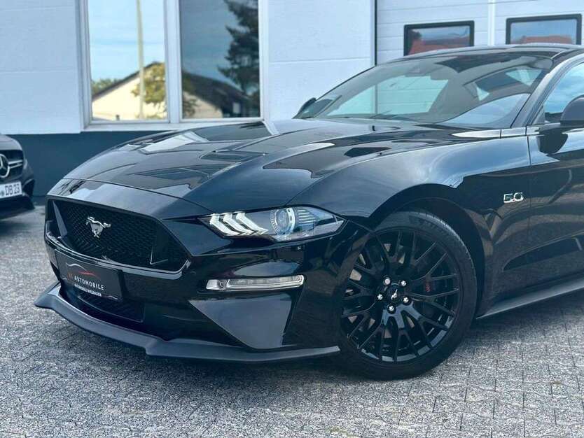 Mustang