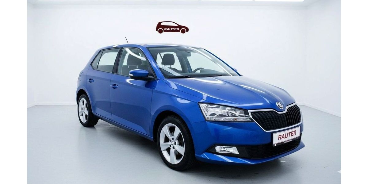 Skoda Fabia 89.900 km 10.950 &euro; Wetzlar 35578