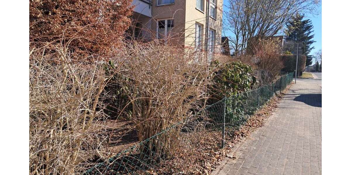 Wohnung zum Kaufen in Stahnsdorf 249.000 € 56.67 m² 2 zimmer