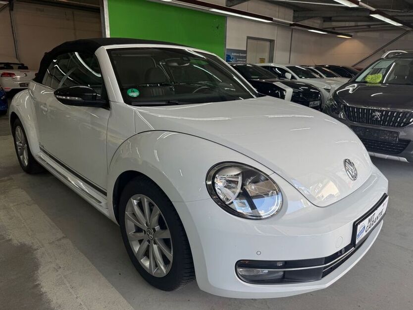 Beetle