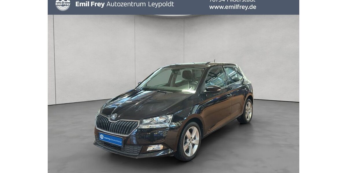 Skoda Fabia 53.819 km 12.890 &euro; Filderstadt 70794