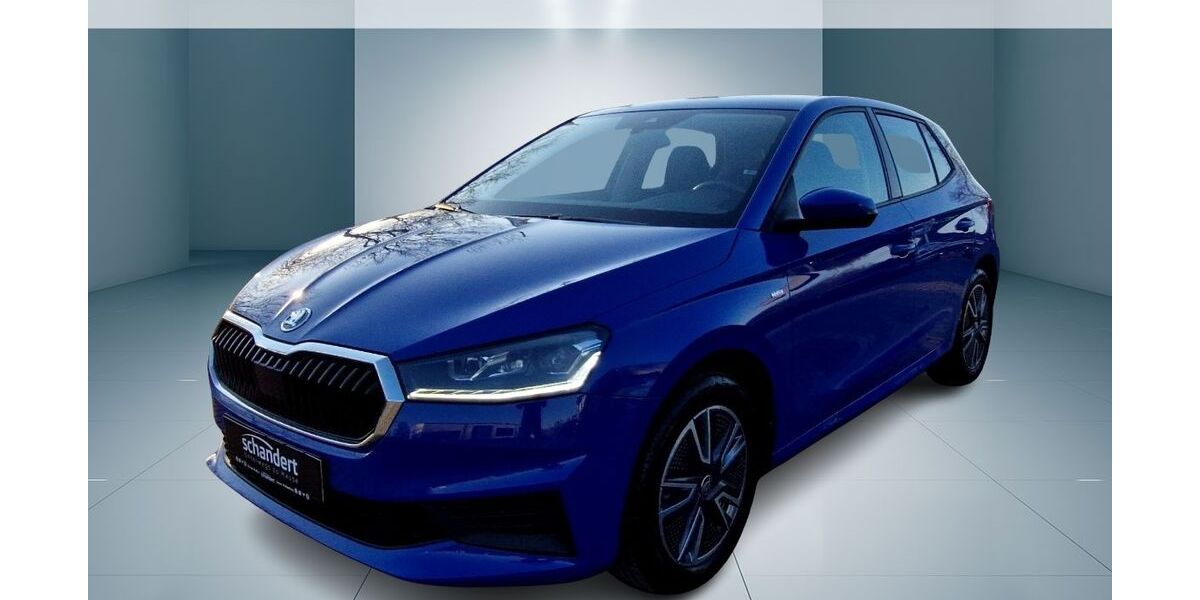 Skoda Fabia 13.640 km 15.950 &euro; Jessen 06917