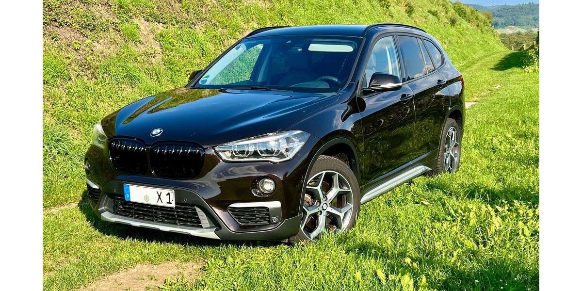 BMW X1 139.900 km 18.500 &euro; Hohberg 77749