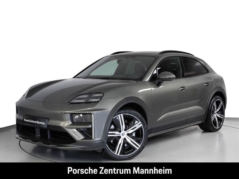Macan