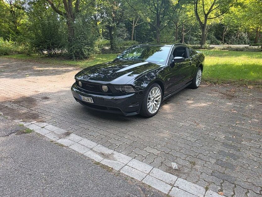 Mustang