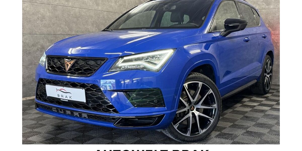 Cupra Ateca 112.975 km 21.980 &euro; Rastdorf 26901