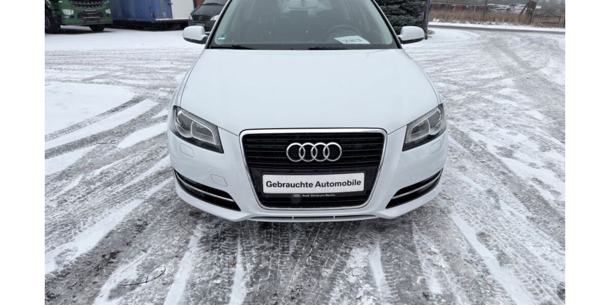 Audi A3 202.689 km 4.590 &euro; Fürstenwalde 15517
